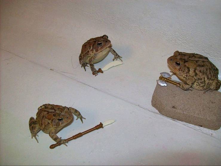 daily picdump 95 pics 35.html - 95 HD Photos | Premium Gallery 2020