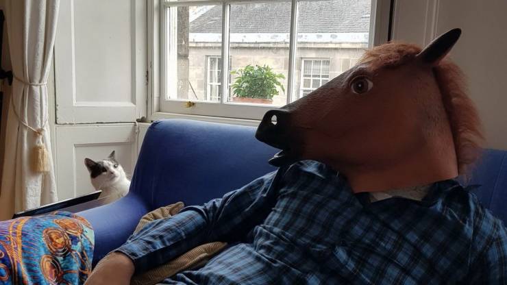 daily picdump 95 pics 35.html - 95 HD Photos | Premium Gallery 2020