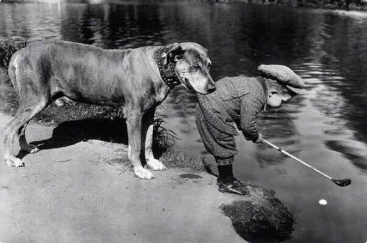 daily picdump 95 pics 35.html - 95 HD Photos | Premium Gallery 2020