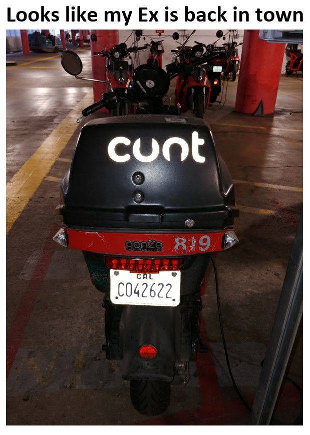 daily picdump 95 pics 35.html - 95 HD Photos | Premium Gallery 2020