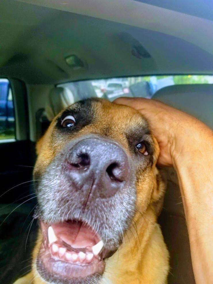 daily picdump 95 pics 35.html - 95 HD Photos | Premium Gallery 2020