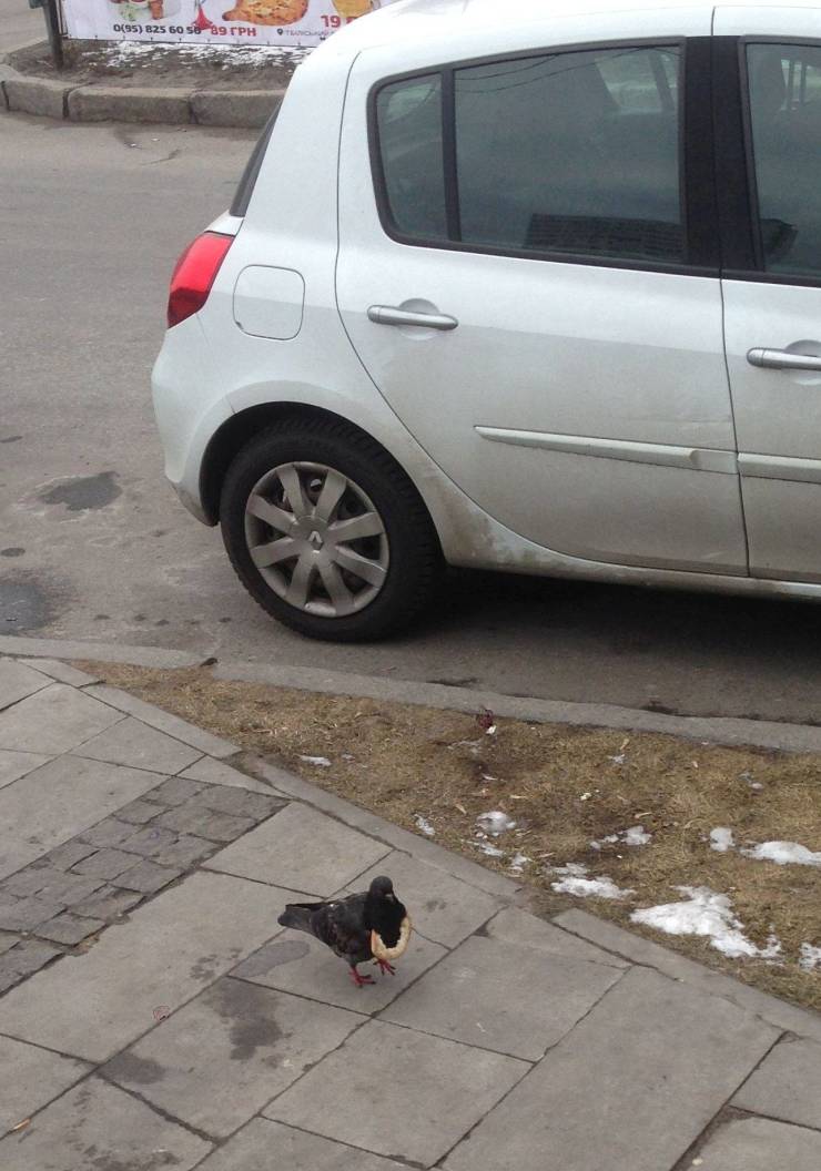 daily picdump weekend edition 75 pics 4.html - 75 HD Photos | Premium Gallery 2020