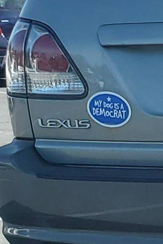 Morning Picdump
