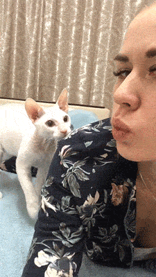 hotties fail even more 30 gifs 8.html - 1 HD GIF | Premium Gallery 2020