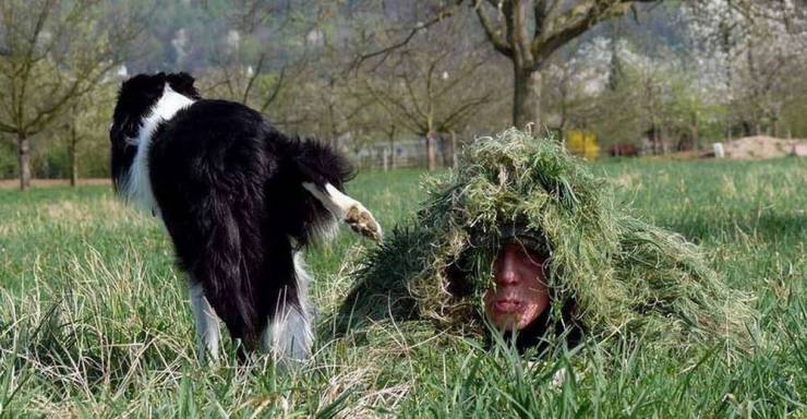 daily picdump 94 pics 40.html - 94 HD Photos | Premium Gallery 2020