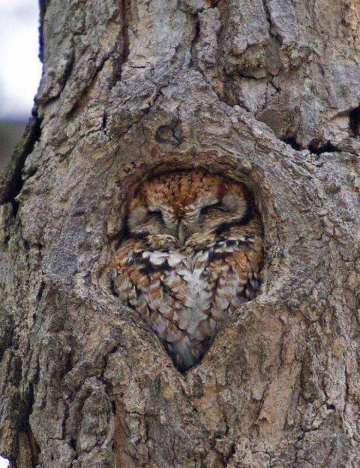 daily picdump 96 pics 1.html - 96 HD Photos | Premium Gallery 2020