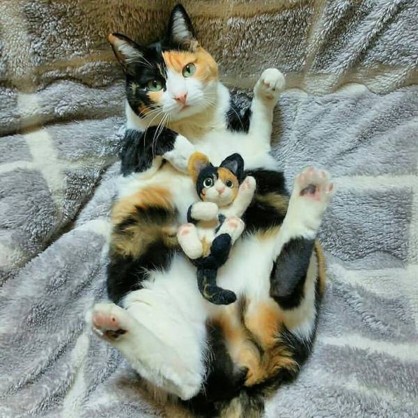 Daily Picdump