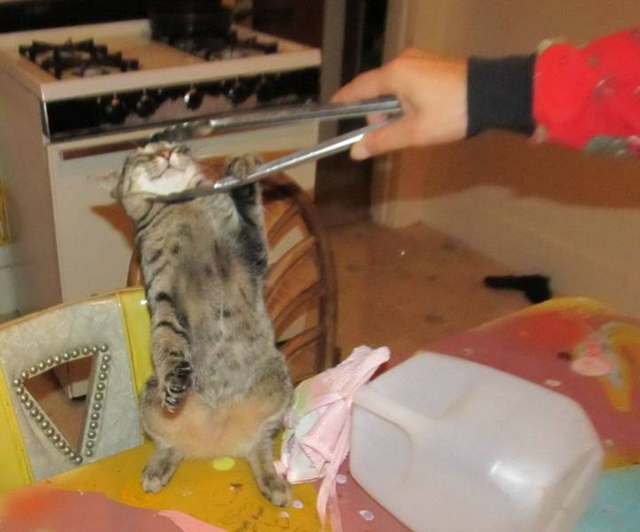 Daily Picdump