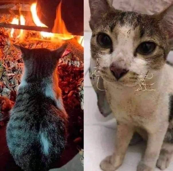 daily picdump 97 pics 1.html - 97 HD Photos | Premium Gallery 2020