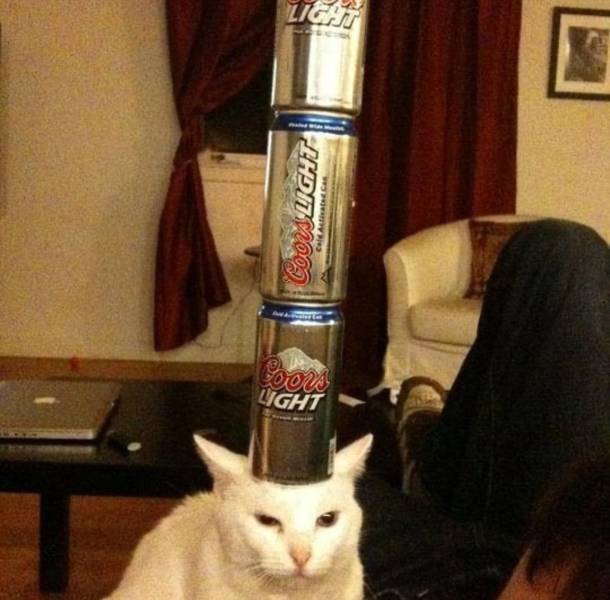 daily picdump 97 pics 1.html - 97 HD Photos | Premium Gallery 2020