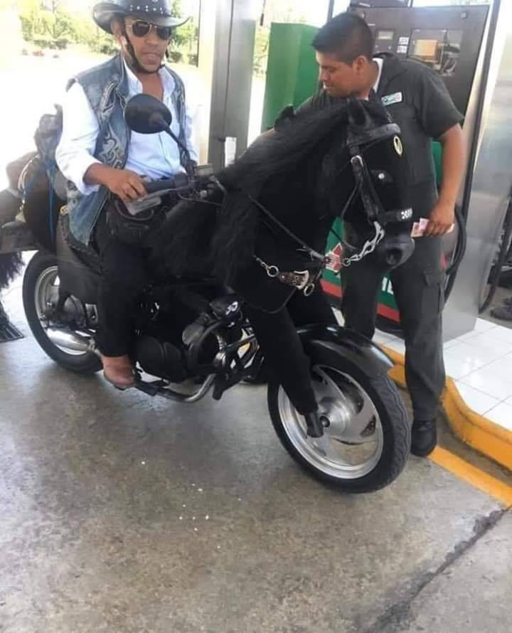 Daily Picdump