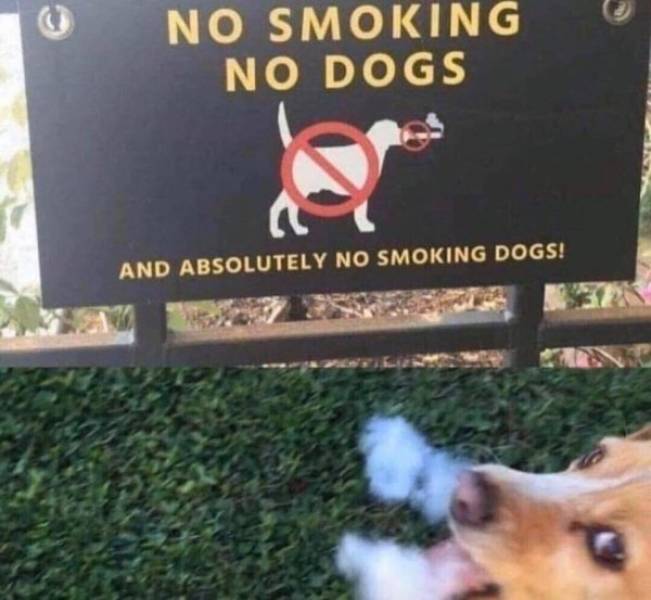A Very Big No!