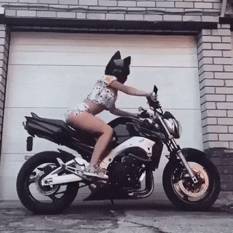hotties go fail 32 gifs 10.html - 1 HD GIF | Premium Gallery 2020