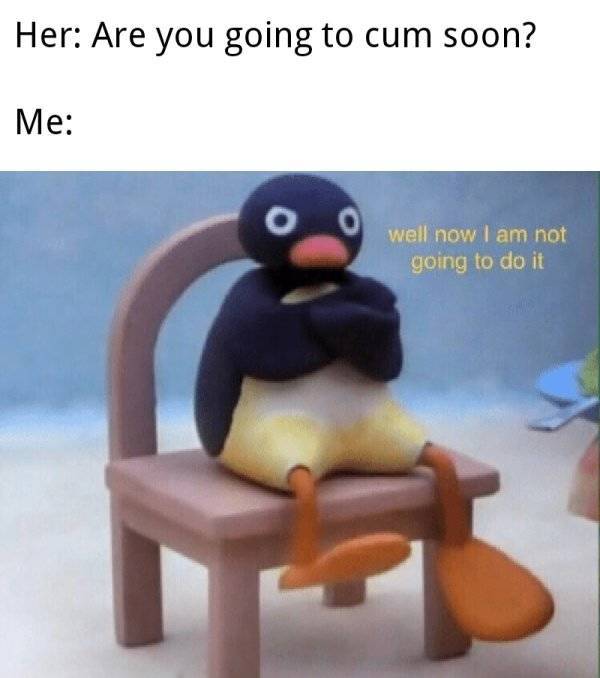 Yay, NSFW Memes!