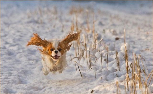Funny picdump