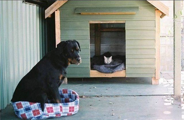 Funny picdump