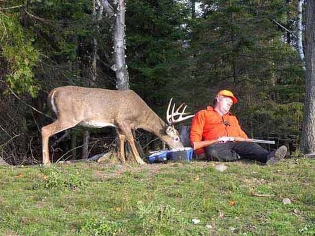 Funny picdump