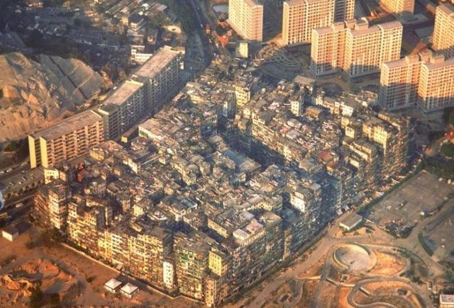 Construction stupidity (93 pics)