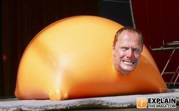 Random pictures that make no sense (55 pics)