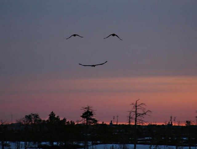 Funny picdump