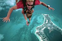 Curiosities and bonus pictures