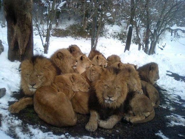 Funny picdump (129 pics)