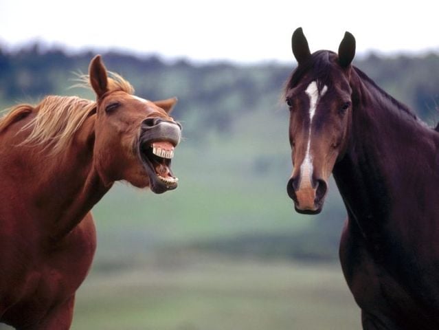 Funny picdump (129 pics)