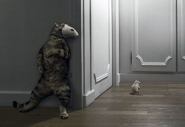 Funny picdump (129 pics)