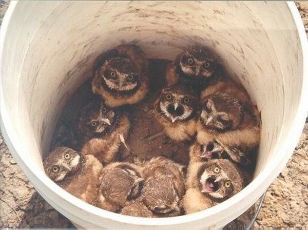 Funny picdump (129 pics)