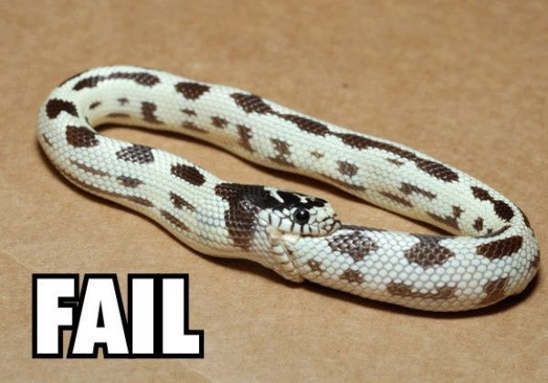 Funny picdump (129 pics)
