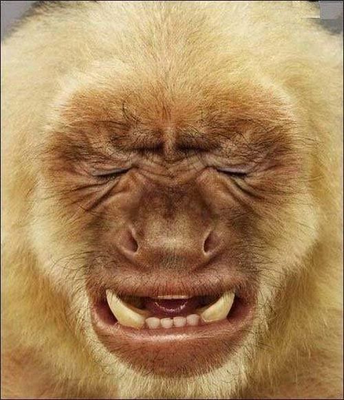 Funny picdump (129 pics)