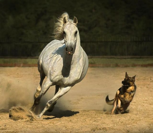 Funny picdump (129 pics)