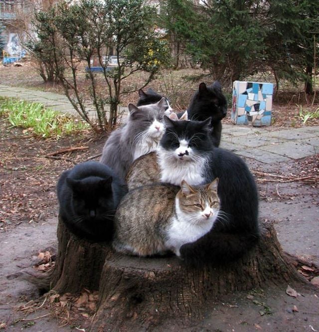 Funny picdump (129 pics)