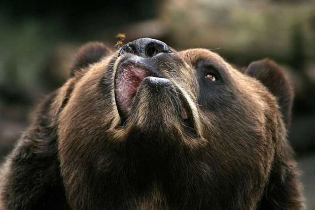 Funny picdump (100 pics)