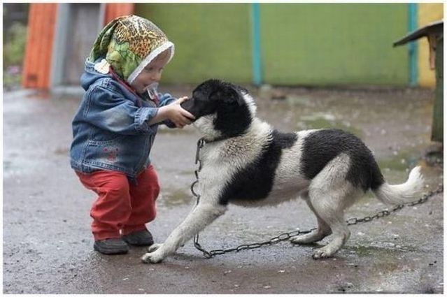 Funny picdump (100 pics)