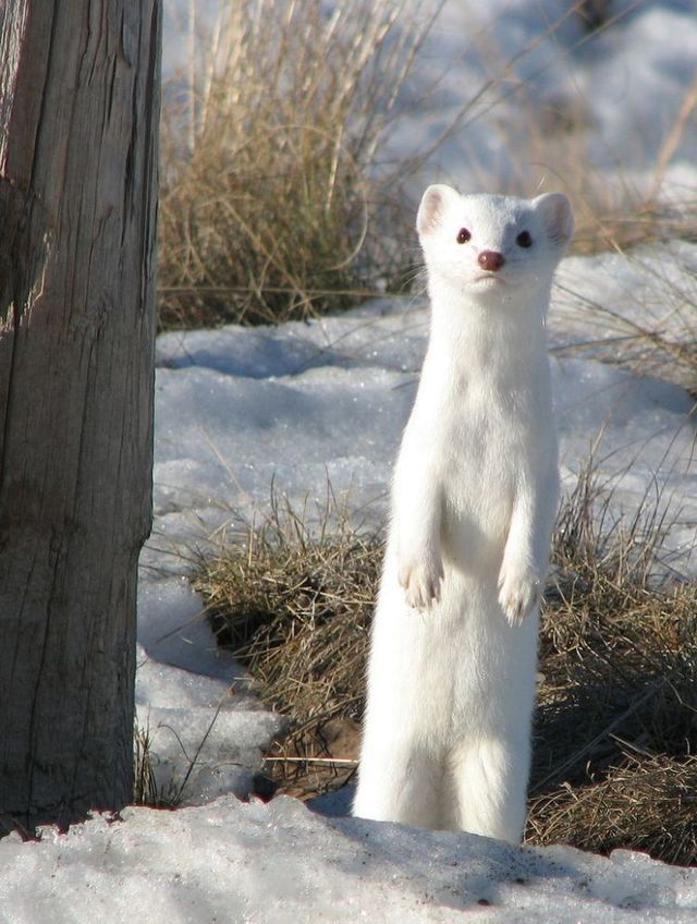 Funny picdump (116 pics)