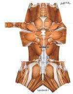 Curiosities and bonus pictures