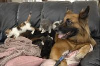 Curiosities and bonus pictures