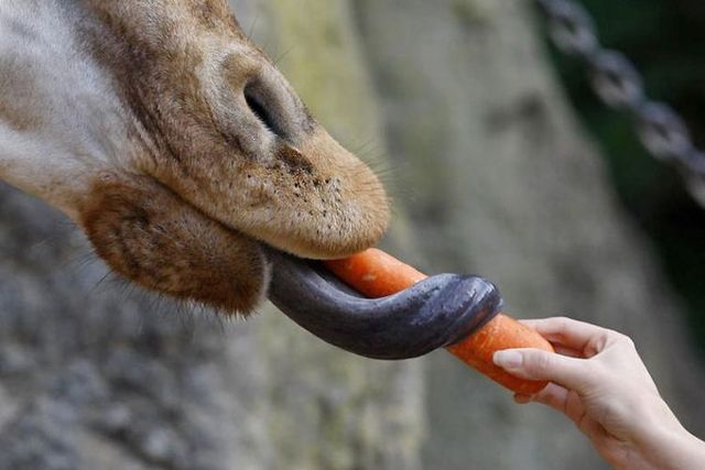 Funny picdump (122 pics)