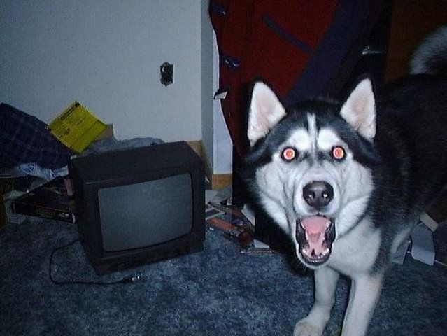 Funny picdump (122 pics)