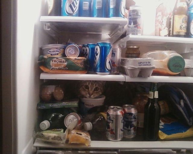 Funny picdump (122 pics)