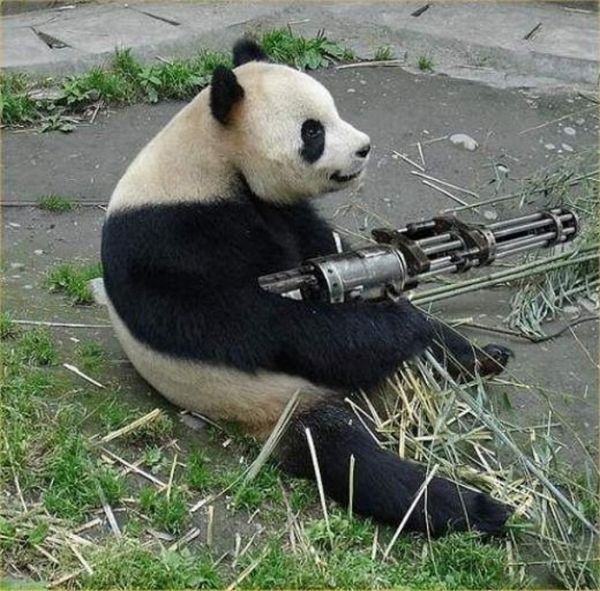 Funny picdump (111 pics)