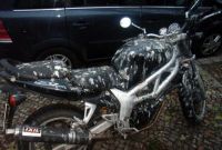 Curiosities and bonus pictures