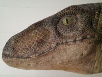 Curiosities and bonus pictures