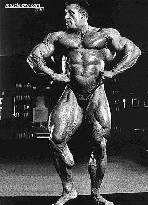 Mountains of muscles (47 pics)