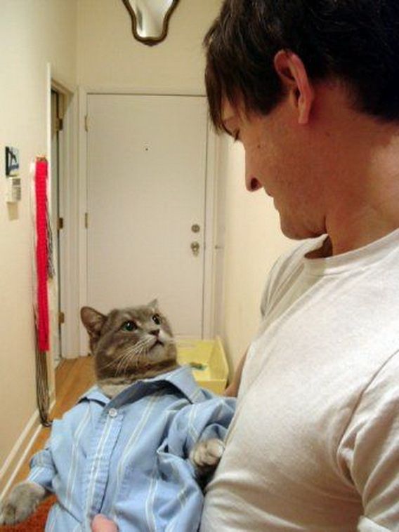 Daily picdump (86 pics)
