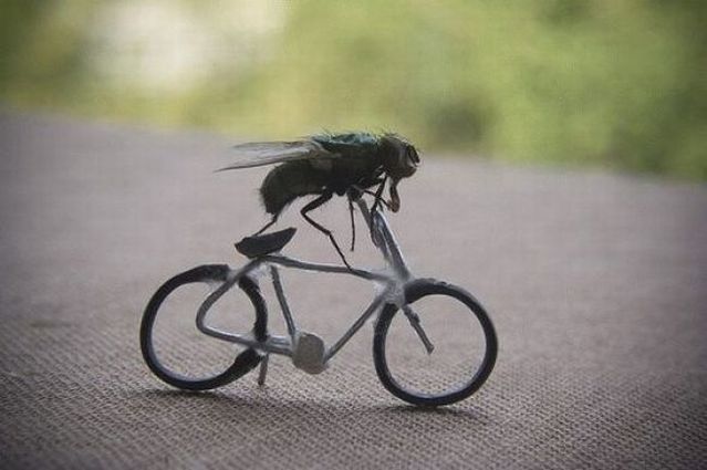 Daily picdump (96 pics)