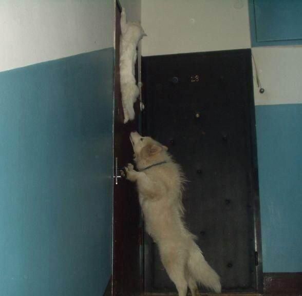 Daily picdump (96 pics)