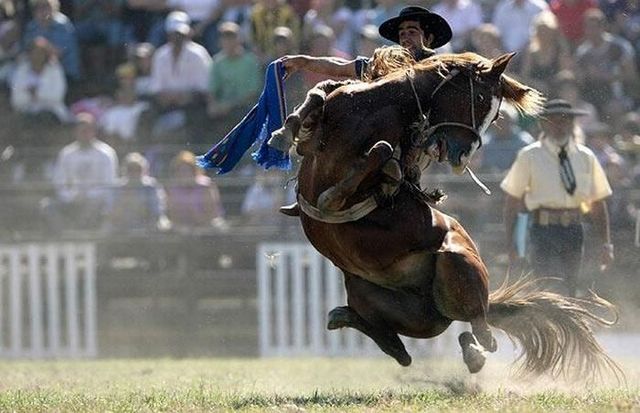 Daily picdump (96 pics)