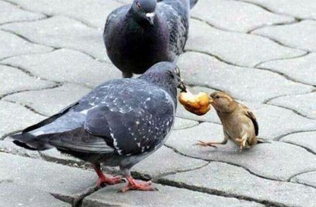 Daily picdump (96 pics)